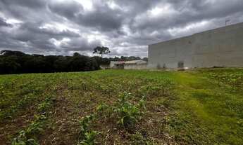 Imagem 3: Terreno para Venda em São José dos Pinhais, Jurema