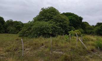 Imagem 5: Sítio praia do abais excelente localização