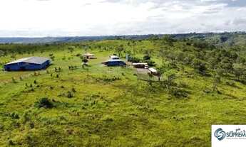 Imagem 4: CHACARA 8,39 HECTARES NÚCLEO RURAL TAGUATINGA - SAMAMBAIA NORTE