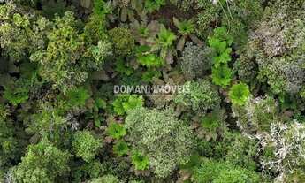 Imagem 6: Lote de Terreno à Venda na Região de Capivari - Campos do Jordão/SP