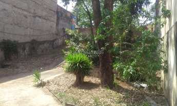 Imagem 4: Casa - Parque São Quirino - Campinas