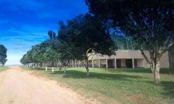 Imagem 3: Fazenda 15.000 hectares a venda em Itiquira em Mato Grosso!