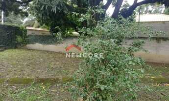 Imagem 7: Sítio em Caminho Fragoso - Guaratiba - Rio de Janeiro/RJ