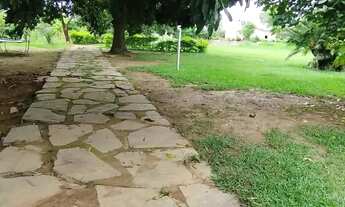 Imagem 2: Chácara para venda tem 10000 metros quadrados com 4 quartos em Ponte Alta Norte - Brasília