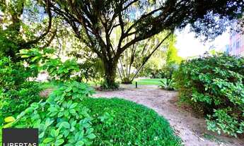 Imagem 6: Apartamento 2 dormitórios no Menino Deus