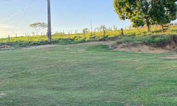 Imagem 2: Fazenda 180 hectares