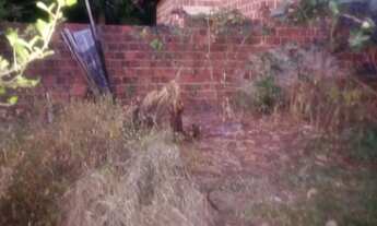 Imagem 3: Terreno 11x9 Terreno / lote com venda por R$20.000