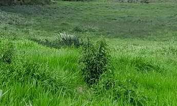 Imagem 6: Chacaras em serra azul Mateus leme