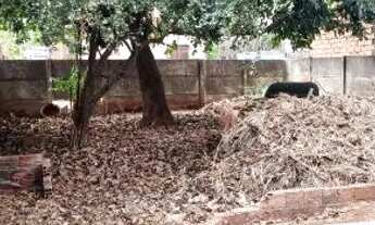 Imagem 4: Casa setor Maysa