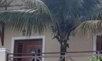 Imagem 4: Guaramiranga / Chale do Rei