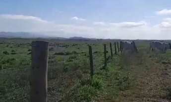 Imagem 2: Fazendas no vale do Paraíba em São José dos Campos