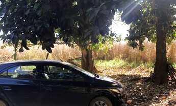 Imagem 2: Chácara 5.000 m² com córrego - PATO SELVAGEM