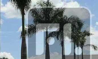 Imagem 7: Galpão para alugar, 3404 m² por R$ 103.192,21/mês - Zona Rural - Hidrolândia/GO