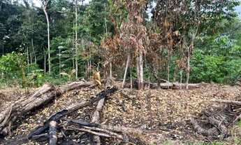 Imagem: Terreno à venda em Presidente Figueiredo