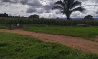 Imagem 5: FAZENDA A VENDA EM VILA APARECIDA. MUNICÍPIO DE CÁCERES