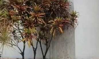 Imagem 3: Apartamento em Rua do Rosário - Vila Camargos - Guarulhos/SP