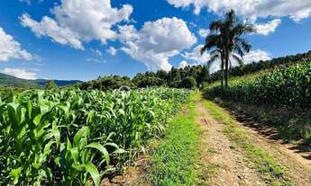 Imagem 5: EXUBERANTE SÍTIO COM 12 HECTARES