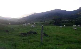 Imagem 5: Fazenda para Venda em Casimiro de Abreu, Casimiro de Abreu