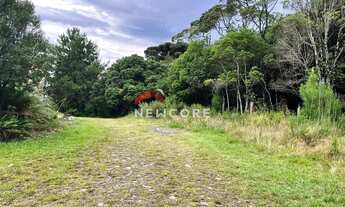 Imagem: Lote em Rua 16 - Colinas - São Francisco