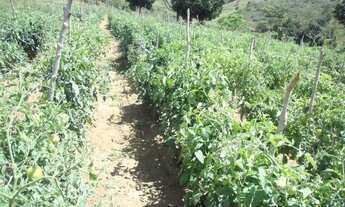 Imagem 5: Fazenda muito boa