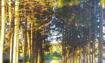 Imagem 6: Granjas para alugar em Juiz de Fora