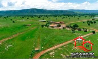 Imagem 6: Fazenda 1.750 alqueirão ( 8.470 Hectares ) Região de Alvorada do Norte -GO