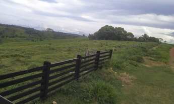 Imagem 4: Fazenda 74 alqueires com 70 de capim! Mun-de Pacajá?