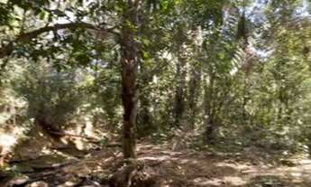 Imagem 2: Chácara DF 190 pertinho asfalto 5000m2