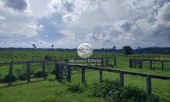 Imagem 5: Venda - Fazenda - Machadinho D'Oeste - 175 Alqueires top para soja