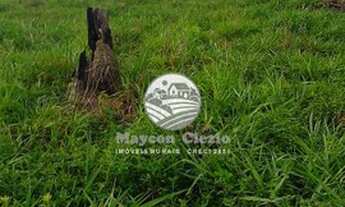 Imagem 4: Venda - Sítio - Machadinho D'Oeste - 8 Alqueires