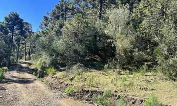 Imagem 4: Sítio/Chácara/ Imóvel Rural á venda em Urubici