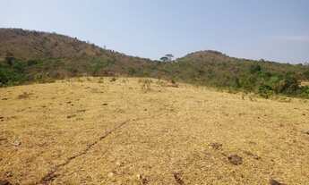 Imagem 3: Sítio para venda possui 11 Alqueires e meio em Zona Rural - Cocalzinho de Goiás - GO