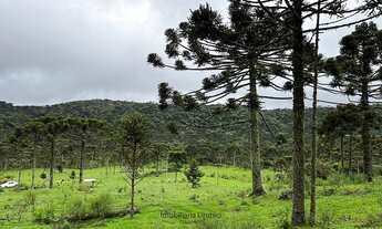 Imagem 5: Urubici/Sítio/Chácara á venda em Urubici