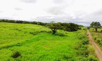 Imagem 3: Fazenda em Filadélfia - Araguaína