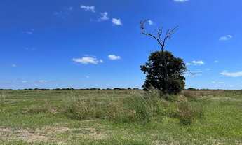 Imagem 5: Vendo Fazenda de 10.500 hectares, Município do Piauí !!!