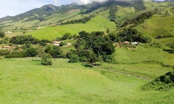 Imagem 4: Maravilhosa Chácara com 2,6 hectares na serra da Mantiqueira em Delfim Moreira/MG