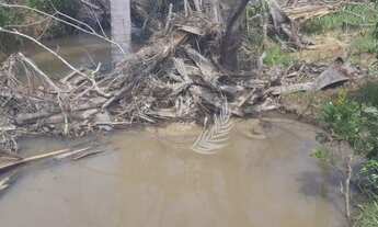 Imagem 4: Fazenda à venda, Rural, TESOURO - MT