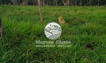 Imagem 3: Venda - Sítio - Machadinho D'Oeste - 8 Alqueires