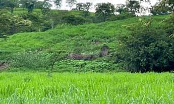 Imagem 2: Fazenda com 56 hectares na beira do rio verde