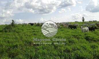 Imagem 2: Venda - Fazenda - Machadinho D'Oeste - 383 Alqueires