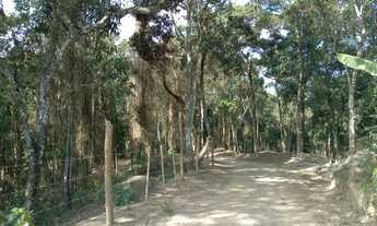 Imagem 7: Fazenda/Sítio/Chácara para venda possui 2500 metros quadrados