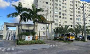 Imagem: Alameda dos Ipes