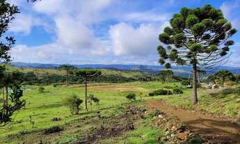 Imagem 3: Urubici/Sítio/Chácara á venda em Urubici