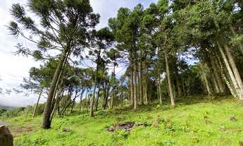 Imagem 3: Urubici/Sítio/Area com 2 hectares próximo a Serra do Corvo Branco. Urubici-sc