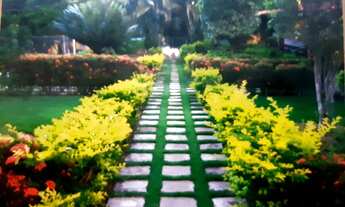 Imagem 2: SITIO EM ABRANTES - 4200 METROS DE ÁREA - ABRANTES