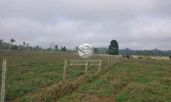 Imagem 6: Venda - Sítio - Machadinho D'Oeste - 30 Alqueires