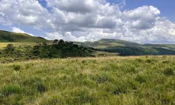 Imagem 3: Urubici/Sítio/Chácara/Área Rural para venda. Área 47 em Urubici (SC