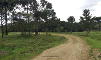 Imagem 5: Urubici/Sítio/Chácara á venda em Urubici