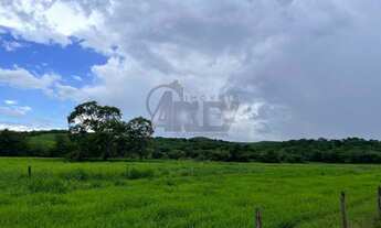 Imagem 3: Fazenda com 56 hectares na beira do rio verde