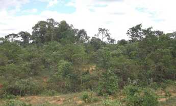 Imagem 4: A 2km do centro, terreno 5ha São Jose do Almeida